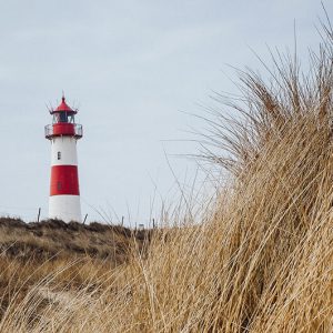 Schulferien_868x532px